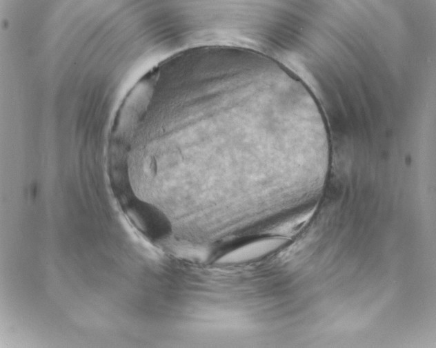 X0000088751144200706141722
