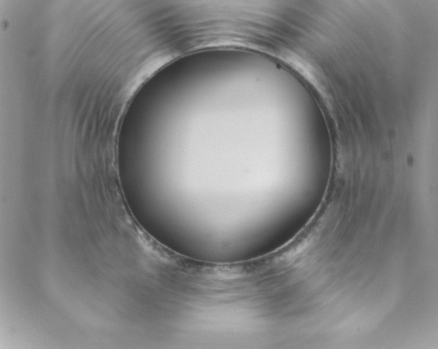 X0000088751145200706141722