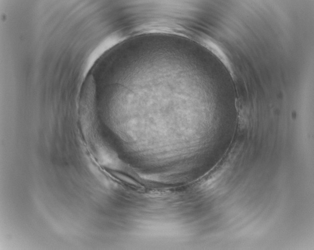 X0000088751146200706141722