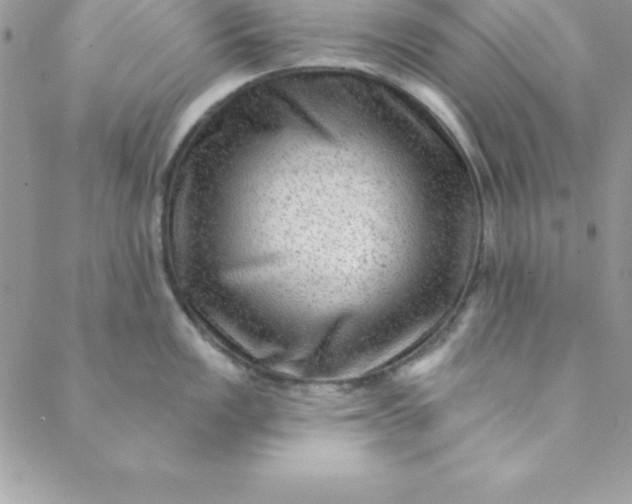 X0000088751149200706141722
