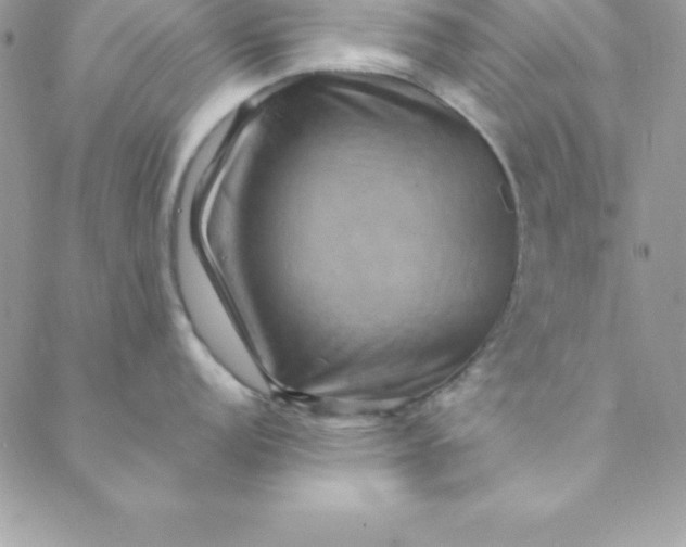 X0000088751152200706141722