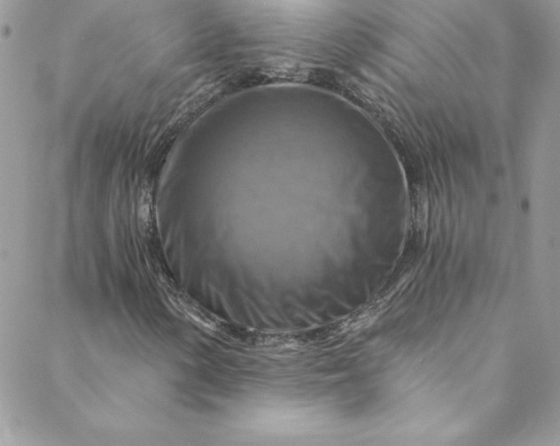 X0000088751154200706141721