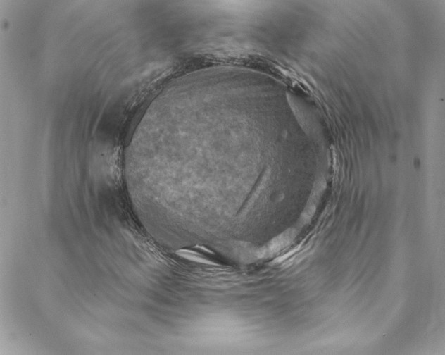X0000088751156200706141721