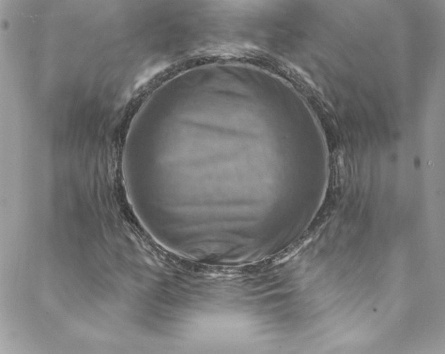 X0000088751158200706141721