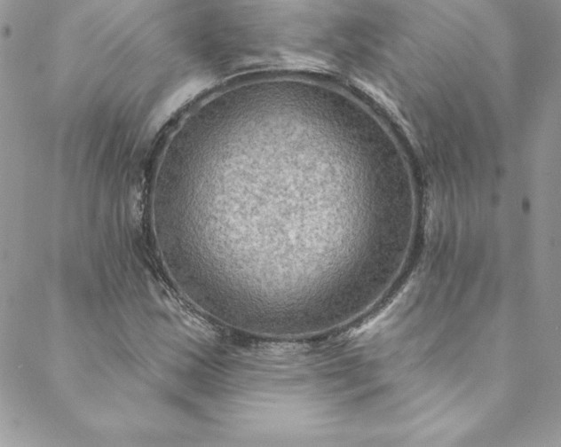 X0000088751163200706141721
