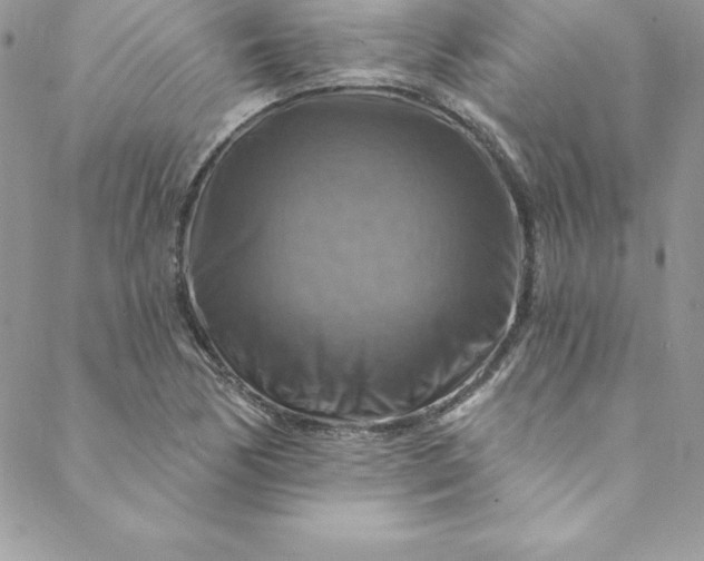 X0000088751170200706141721
