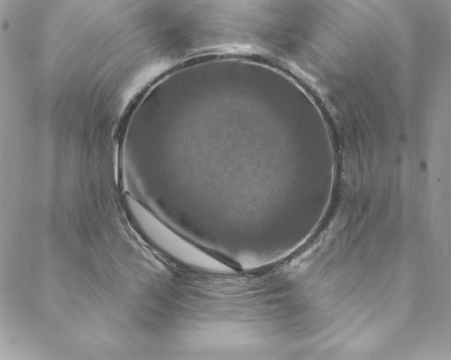 X0000088751171200706141721