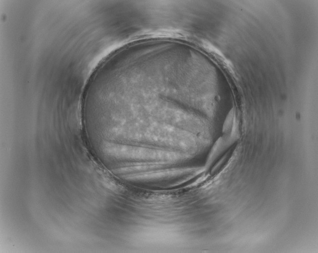 X0000088751174200706141721