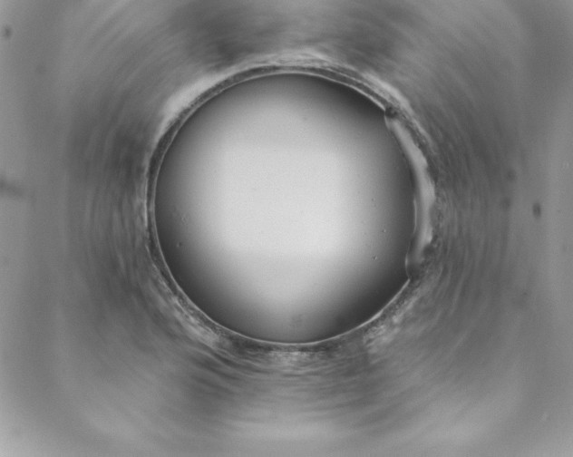 X0000088751176200706141721