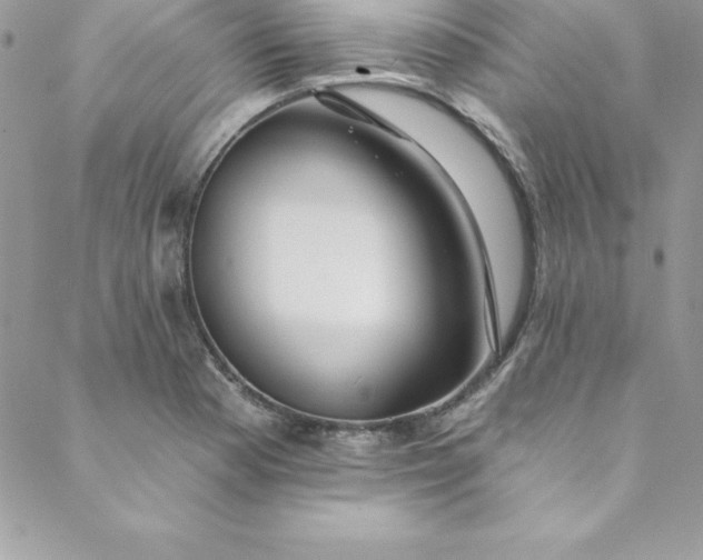 X0000088751177200706141721