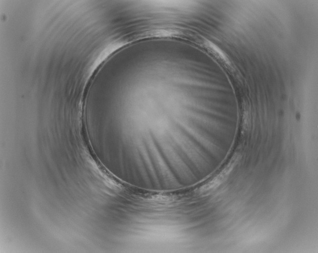 X0000088751178200706141720