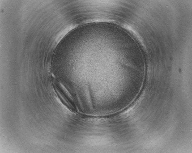 X0000088751185200706141720