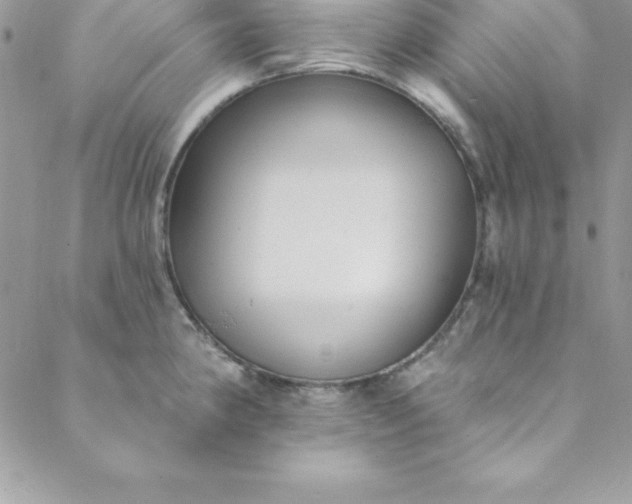 X0000088751190200706141720
