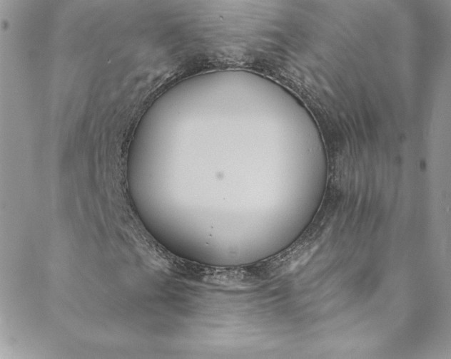 X0000088751201200706141719