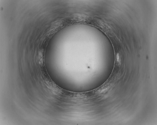 X0000088751203200706141719