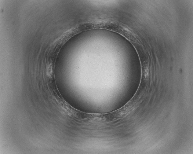 X0000088751204200706141719
