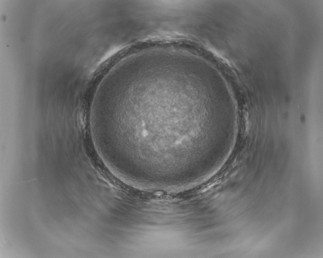 X0000088751206200706141719
