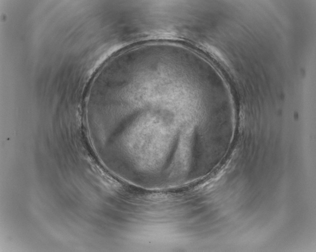 X0000088751212200706141720