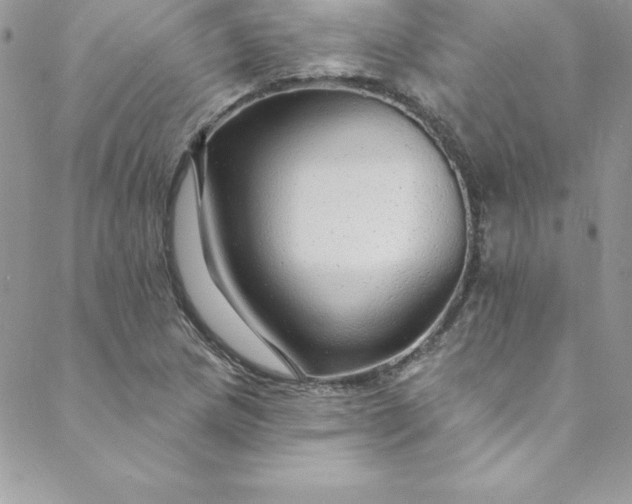 X0000088751217200706141720
