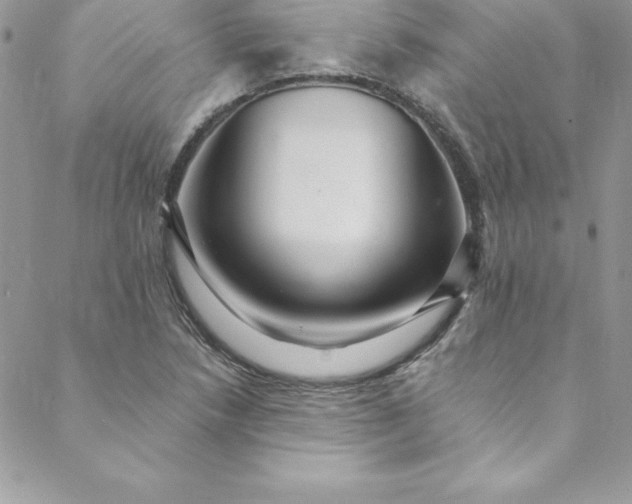 X0000088751218200706141720