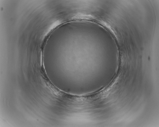 X0000088751219200706141720