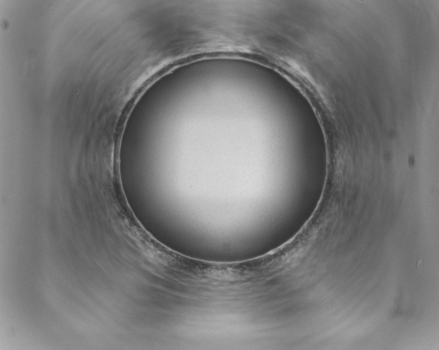 X0000088751220200706141720