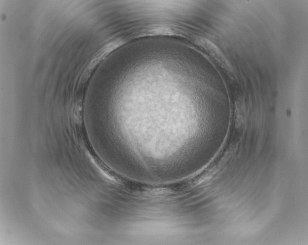 X0000088751225200706141720