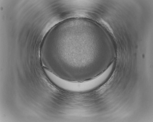 X0000088751226200706141720