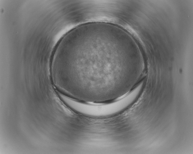X0000088751230200706141720