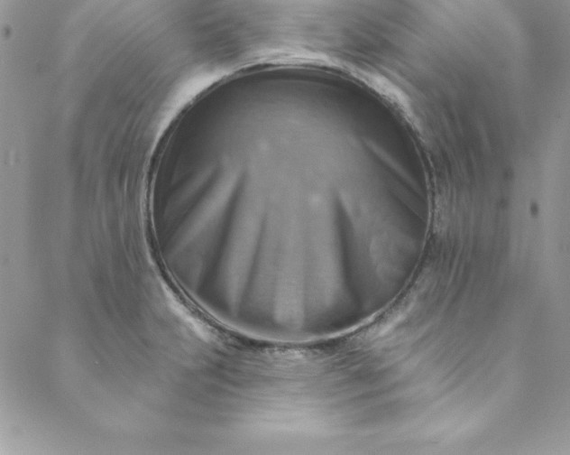 X0000088751231200706141720
