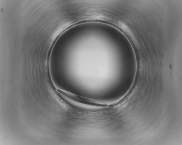 X0000088751234200706141720