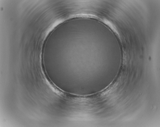 X0000088751237200706141720