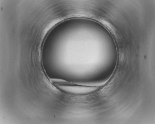 X0000088751238200706141720
