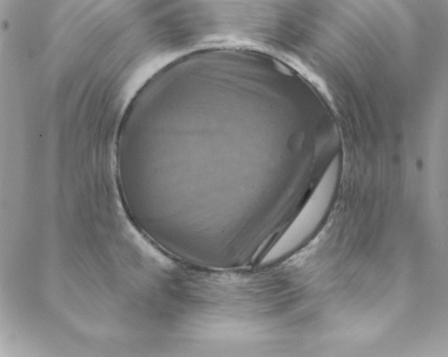 X0000088751239200706141720
