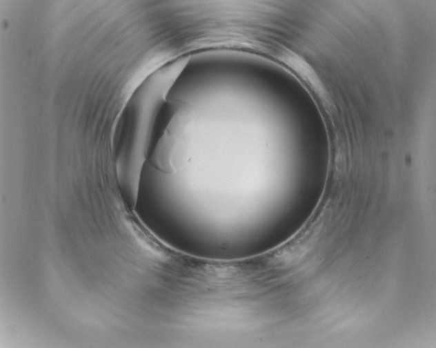 X0000088751242200706141720