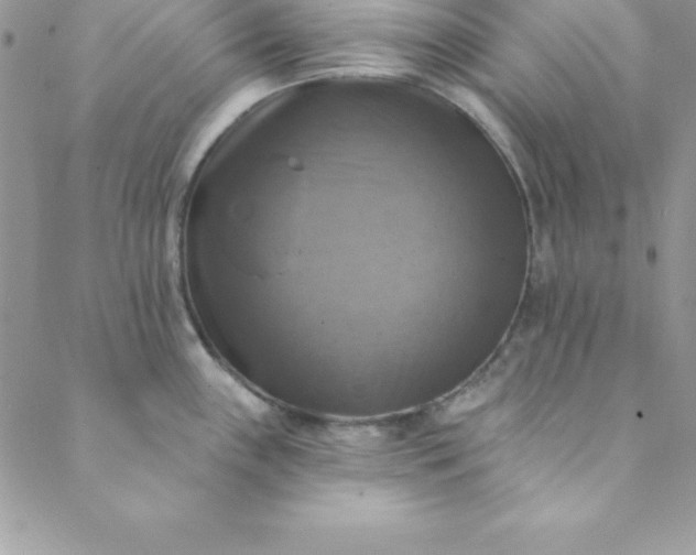 X0000088751243200706141720