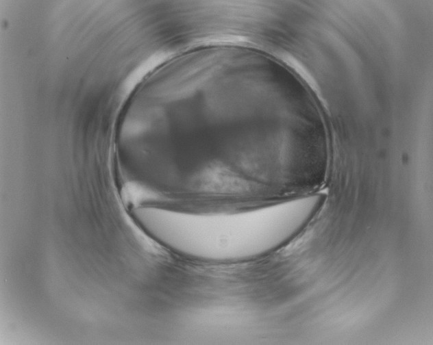 X0000088751245200706141720