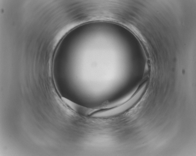 X0000088751246200706141720