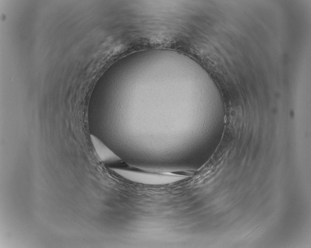 X0000088751249200706141719