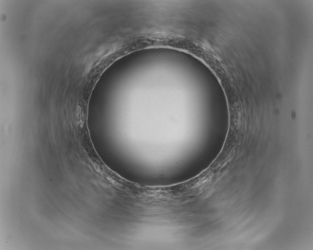 X0000088751253200706141719