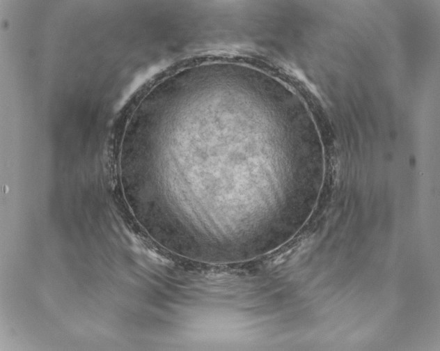 X0000088751256200706141719