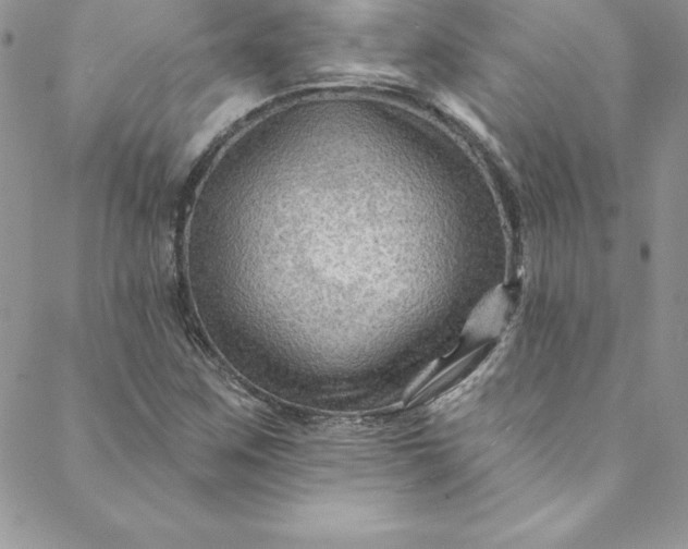 X0000088751259200706141719