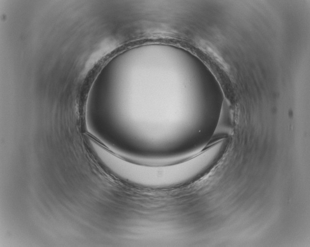 X0000088751261200706141719