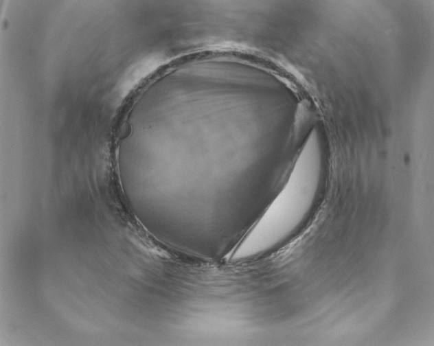 X0000088751263200706141719