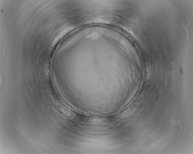 X0000088751266200706141719
