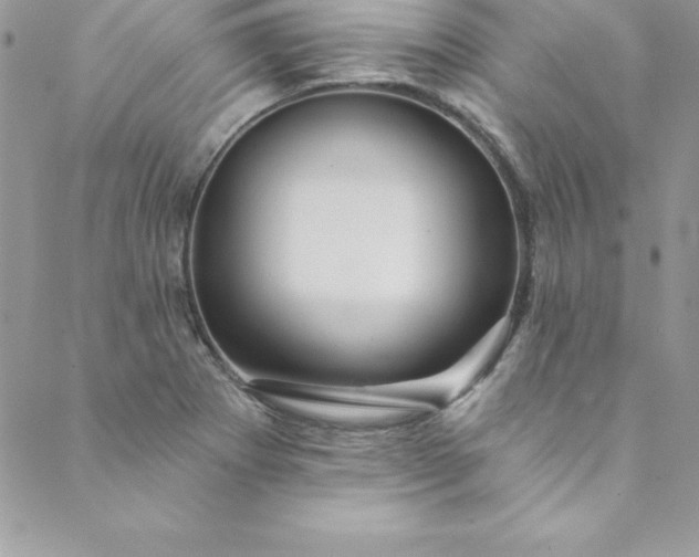 X0000088751273200706141719