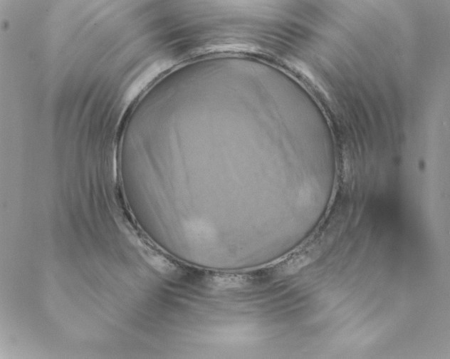 X0000088751274200706141719