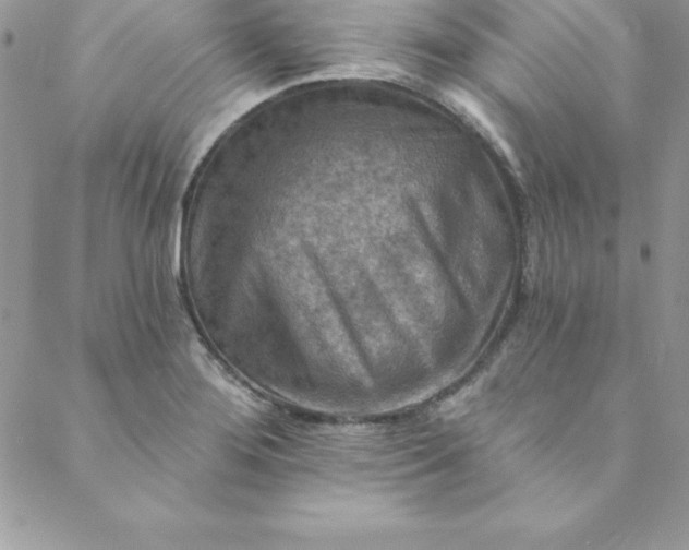 X0000088751276200706141719