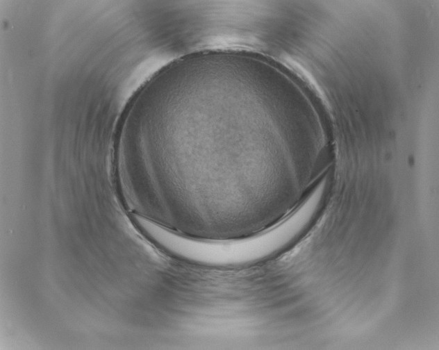 X0000088751277200706141719