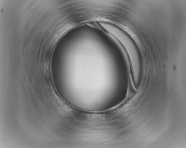 X0000088751281200706141719